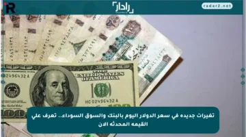 تغيرات جديدة في سعر الدولار اليوم بالبنك والسوق السوداء.. تعرف على القيمة المحدثة الآن